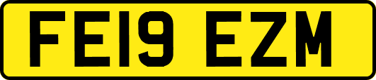 FE19EZM