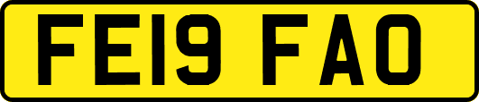 FE19FAO