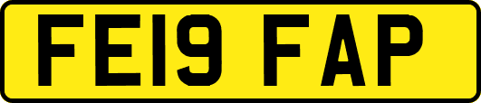 FE19FAP