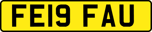 FE19FAU