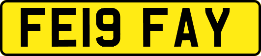 FE19FAY