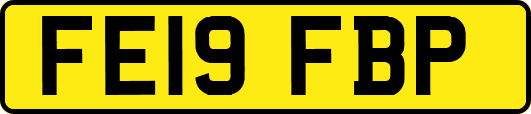 FE19FBP
