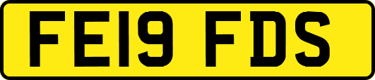 FE19FDS