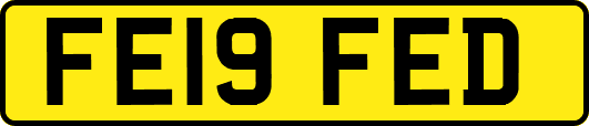 FE19FED
