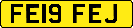 FE19FEJ