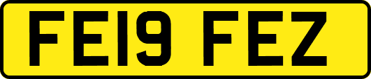 FE19FEZ