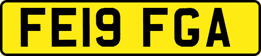 FE19FGA