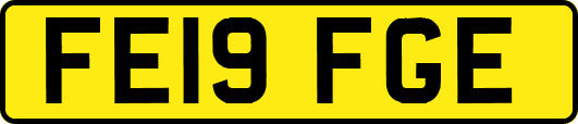 FE19FGE