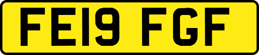 FE19FGF
