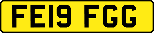 FE19FGG