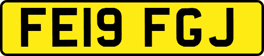 FE19FGJ