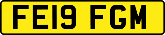 FE19FGM