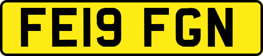 FE19FGN