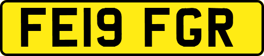 FE19FGR