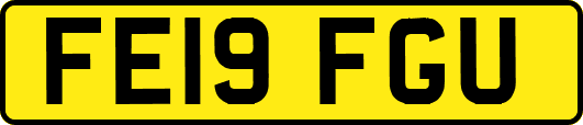 FE19FGU