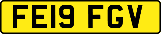 FE19FGV