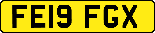 FE19FGX