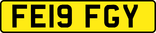 FE19FGY