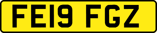 FE19FGZ