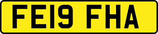 FE19FHA