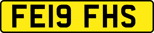FE19FHS