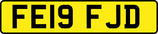 FE19FJD