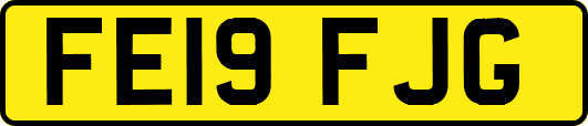 FE19FJG