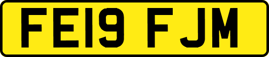 FE19FJM