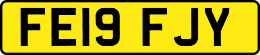 FE19FJY