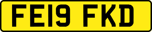 FE19FKD