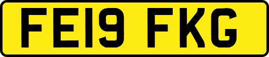 FE19FKG