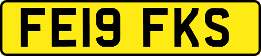FE19FKS