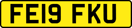 FE19FKU