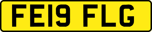 FE19FLG
