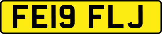 FE19FLJ