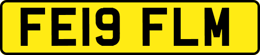 FE19FLM