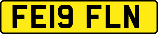 FE19FLN
