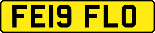 FE19FLO