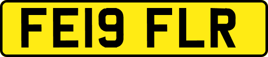 FE19FLR