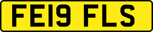 FE19FLS