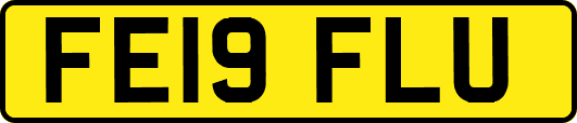 FE19FLU