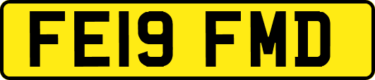 FE19FMD