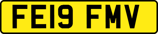 FE19FMV