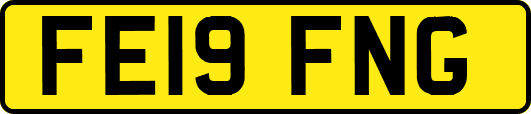 FE19FNG