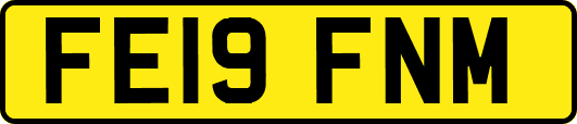FE19FNM
