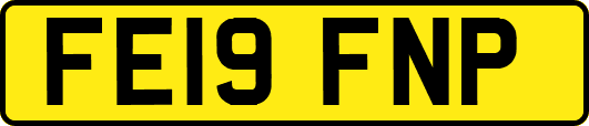 FE19FNP