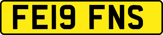 FE19FNS