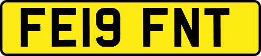 FE19FNT