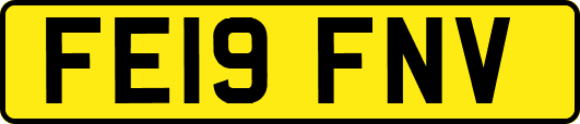 FE19FNV