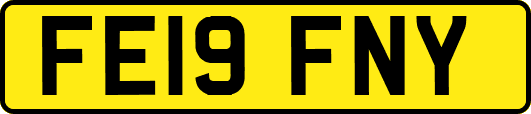 FE19FNY